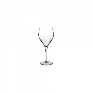 Ποτήρι Atelier κόκκινου κρασιού 55 cl 23,6 cm | 9,8 cm