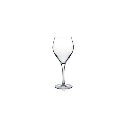 Ποτήρι Atelier κόκκινου κρασιού 55 cl 23,6 cm | 9,8 cm