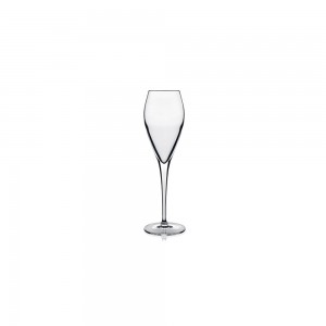 Ποτήρι Atelier σαμπάνιας 20 cl 22,2 cm | 6,4 cm